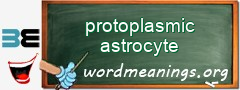 WordMeaning blackboard for protoplasmic astrocyte